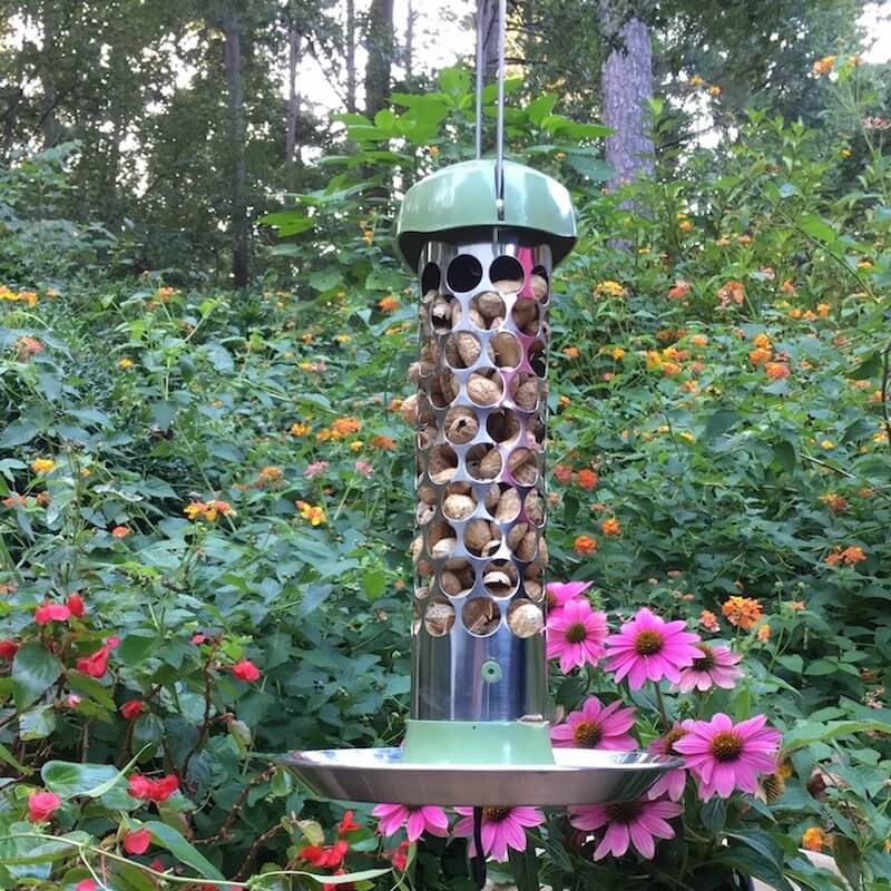Stainless Steel Whole Peanut Bird Feeder - Feeder Only