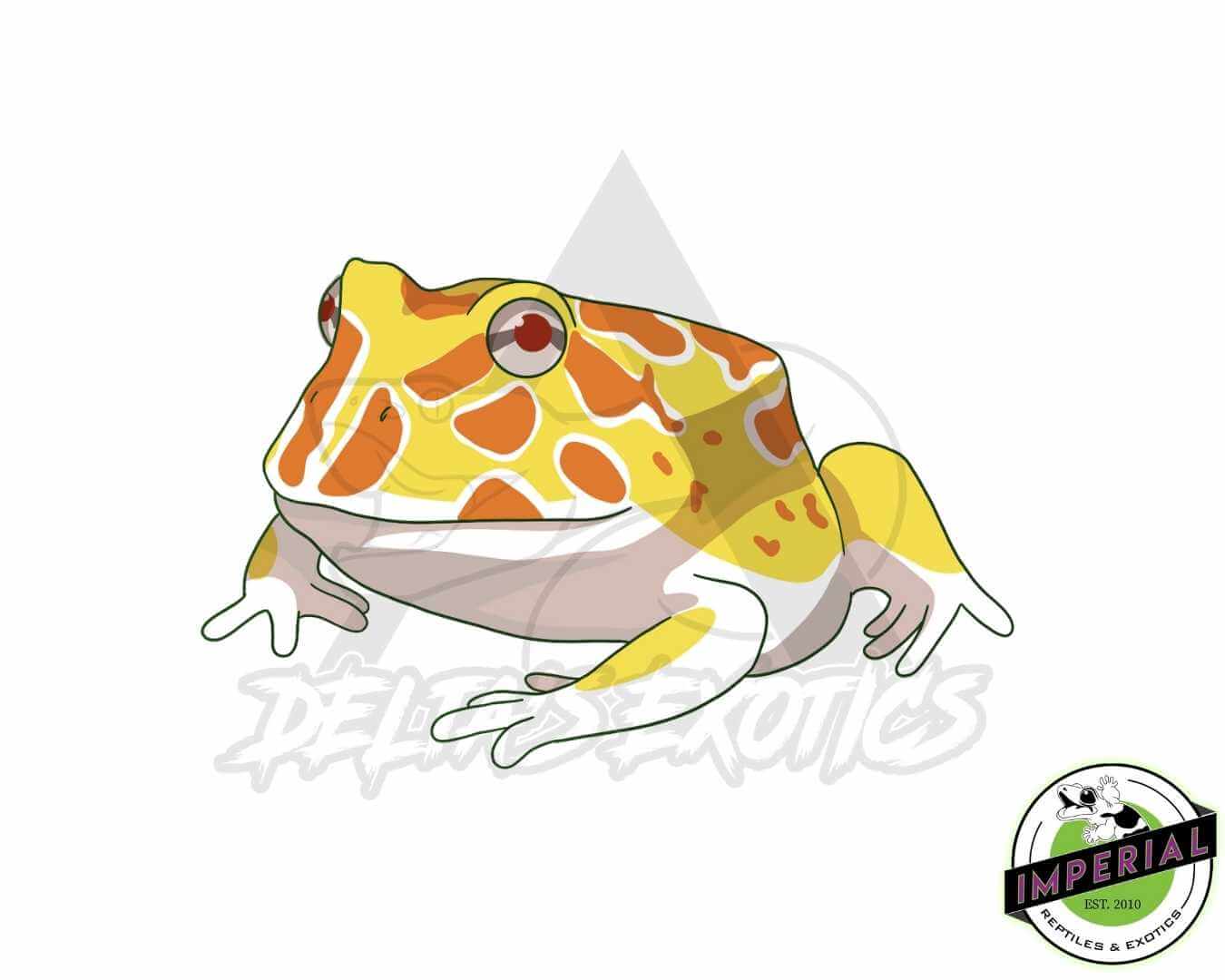 Albino Pacman - Frog Sticker