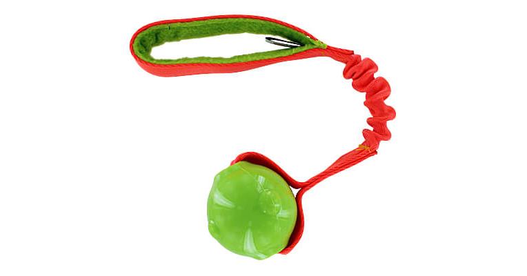 Amazing Squeaker Ball Bungee Tug