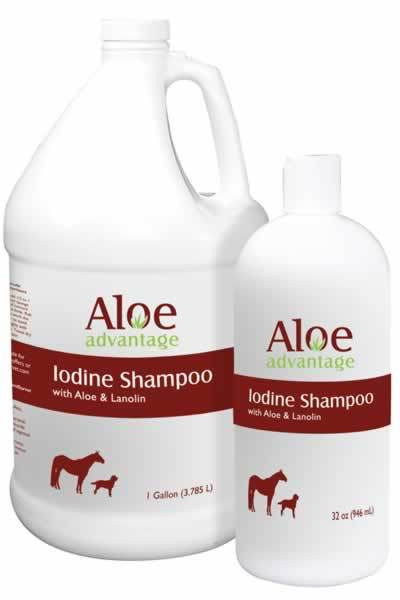 Durvet Aloe Advantage Iodine Shampoo