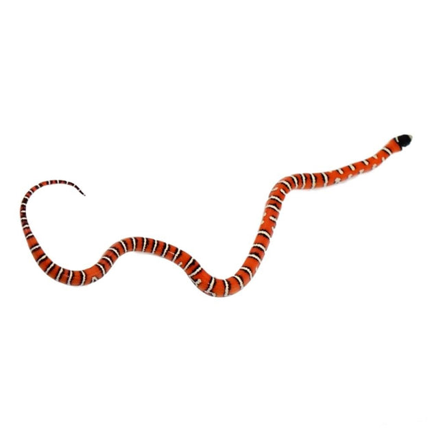 Arizona Mountain Kingsnakes