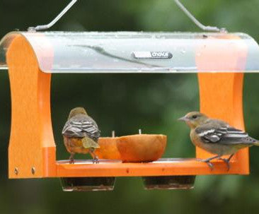 Recycled Fruit & Jelly Oriole Feeder