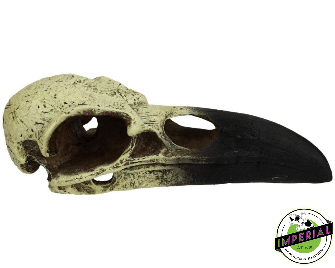 Komodo Raven Skull Hideout