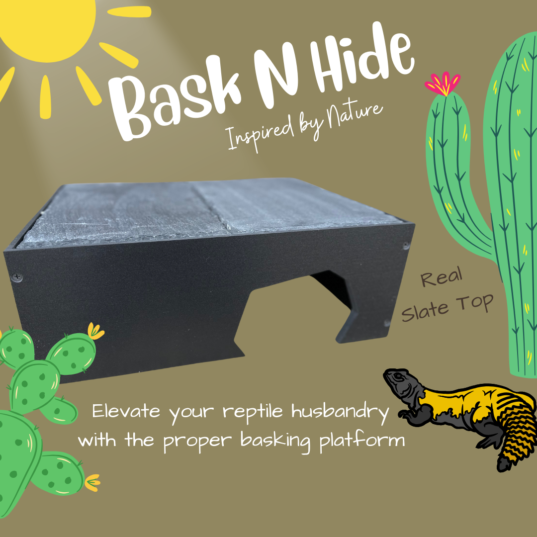 Bask-N-Hide | Reptile Basking Platform and Hide Box