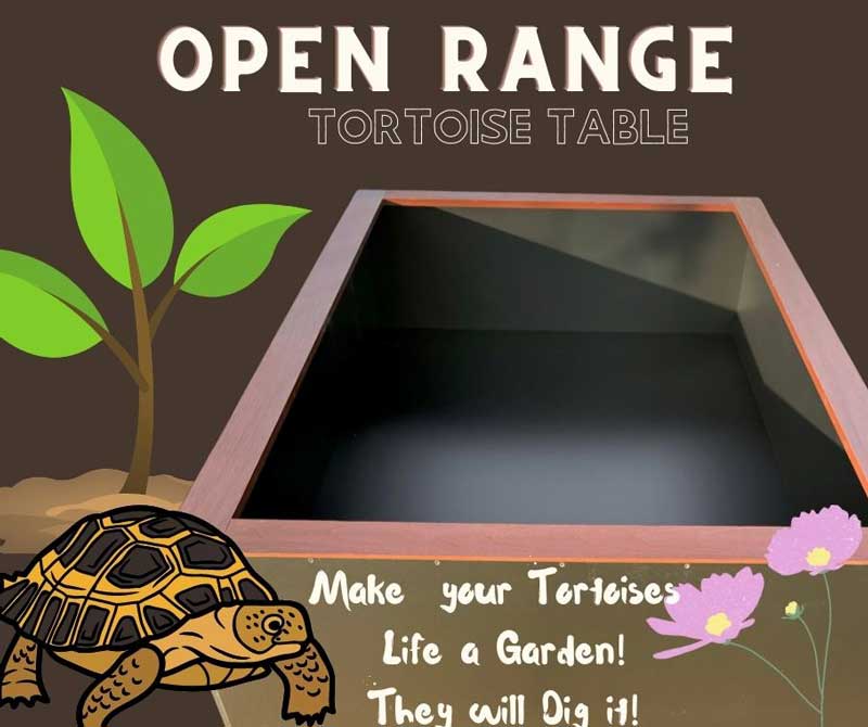 6'x4'x16" | Open Top Tortoise Table | Luxury Reptile Enclosure